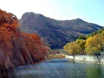 2004新澳门天天开好彩，晶锐油耗